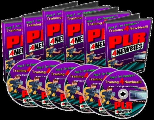 Product picture PLR For Newbies Video Series - Learning How To Create Profit